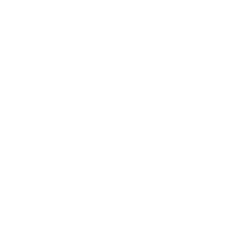 Electronic