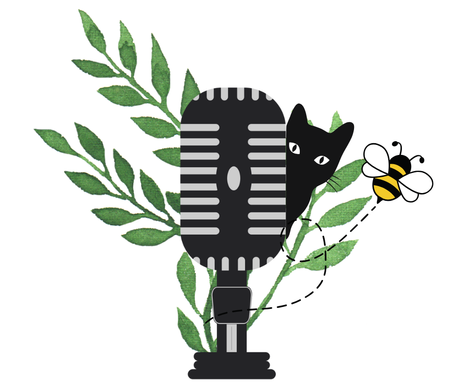 Radio Progrès, la voix rebelle